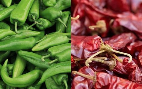 chile colorado vs chile verde